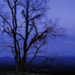 Meet your Posher, Shyanne